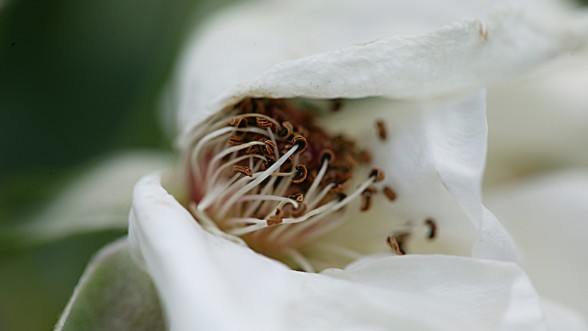 Al Camp de Tarragona, sense sorolls, sense presses ... - Foto: e-naxian.com