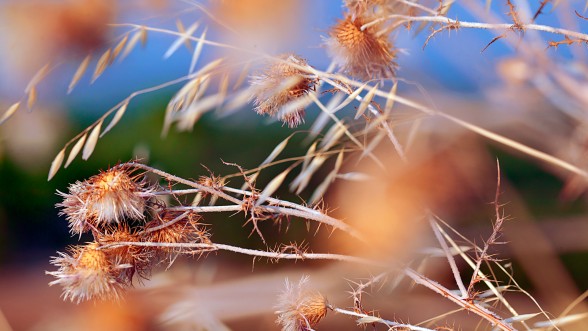 Passegi a peu o en bicicleta pels camins de l'entorn ... - Foto: e-naxian.com